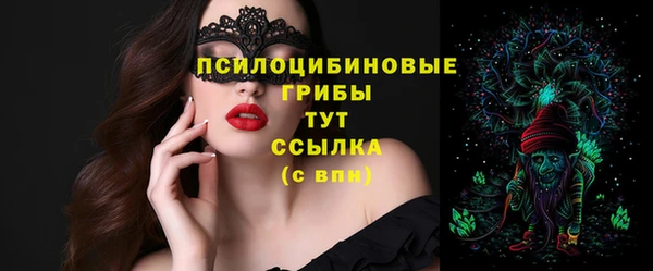 ПСИЛОЦИБИНОВЫЕ ГРИБЫ Баксан
