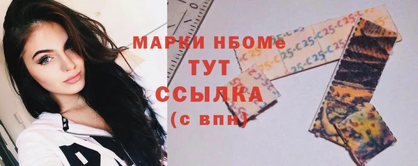 шишки Елизово