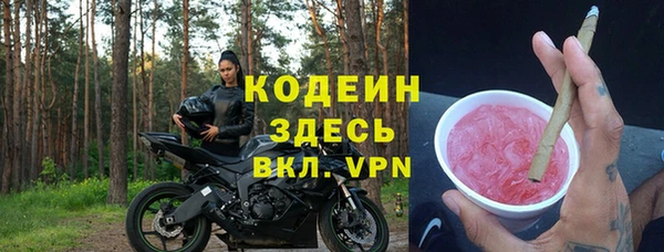 гидра Инта